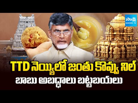 లడ్డూ దుష్ప్రచారానికి బ్రేక్‌ |CBI Sheet & Lab Report Bust Chandrababu False Propaganda on TTD Laddu - SAKSHITV