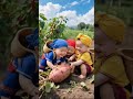 baby learning cartoon #cartoon #shortvideo #beby #animation #3d #3danimation