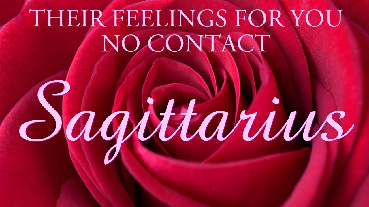 SAGITTARIUS love tarot ♐️ They’re Filled With Regret And Want You Back