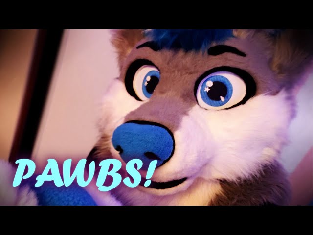 [Furry ASMR] Pawbs! (visual and audio triggers)
