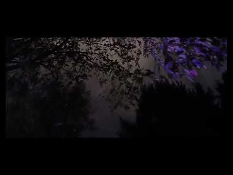 (Reupload) Fleetwire - Hate this two