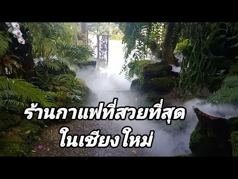 บรรยากาศร้านกาแฟที่สวยที่สุดในเชียงใหม่6พ.ย64