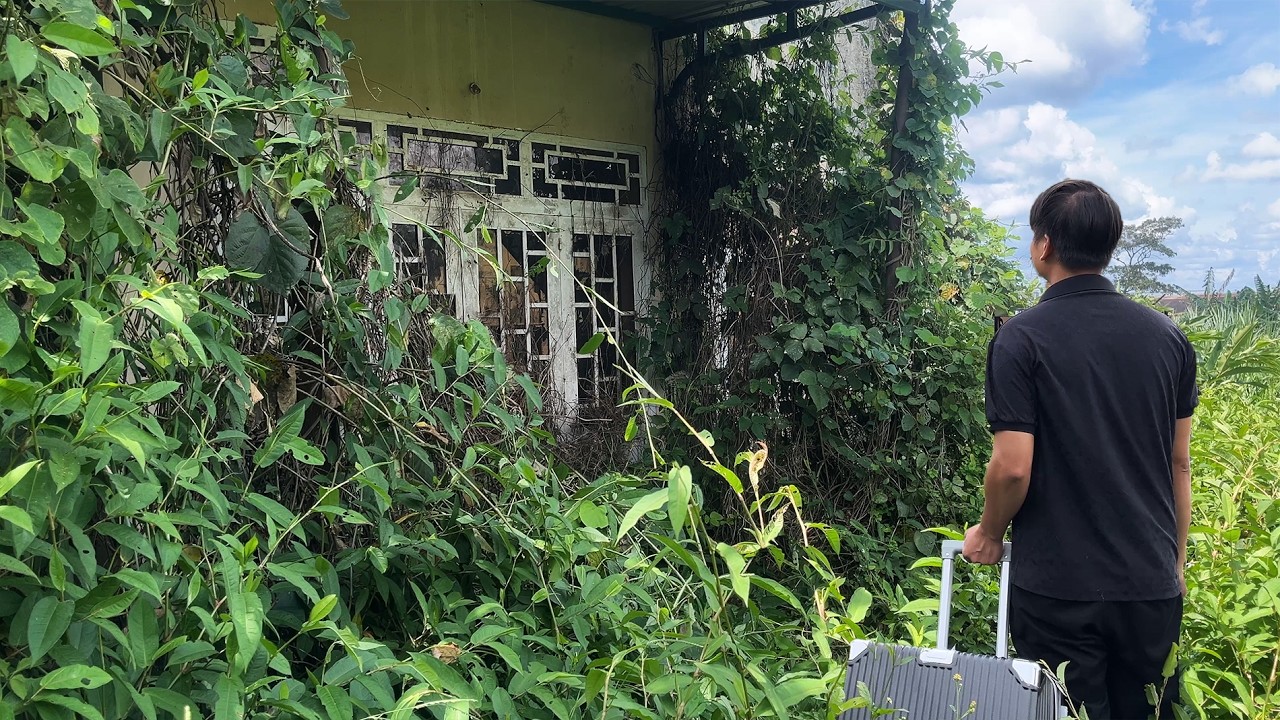 Покупка старого дома, похожего на ТРОПИЧЕСКИЙ ЛЕС, удивила всех.