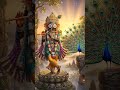 🙏 Feel the Divine Power of Lord Jagannath | Bhakti Vibes 🕉️🚩