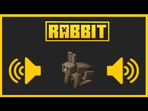🟨 ALL EFFECTS SOUNDS OF THE RABBITS - Minecraft Bedrock & Java 🟨 - YouTube