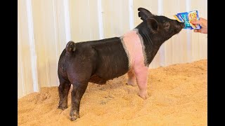 EN 2-4 :: Savage Genetics
