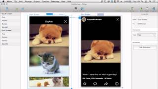 Mitya Demo - Flickr iOS animation