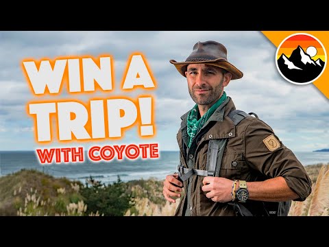 Video Win a SAFARI ADVENTURE with Coyote! - youtube