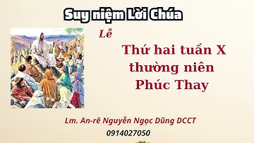 Suy niệm Lời Chúa thứ hai tuần X thường niên 11.06.2023 Lm. Anre Nguyễn Ngọc Dũng