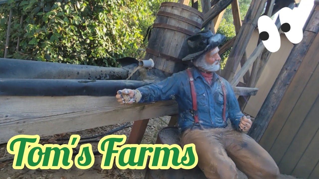 Tom's Farms Amusement Park Hidden Gem of I.E. in Temescal Valley