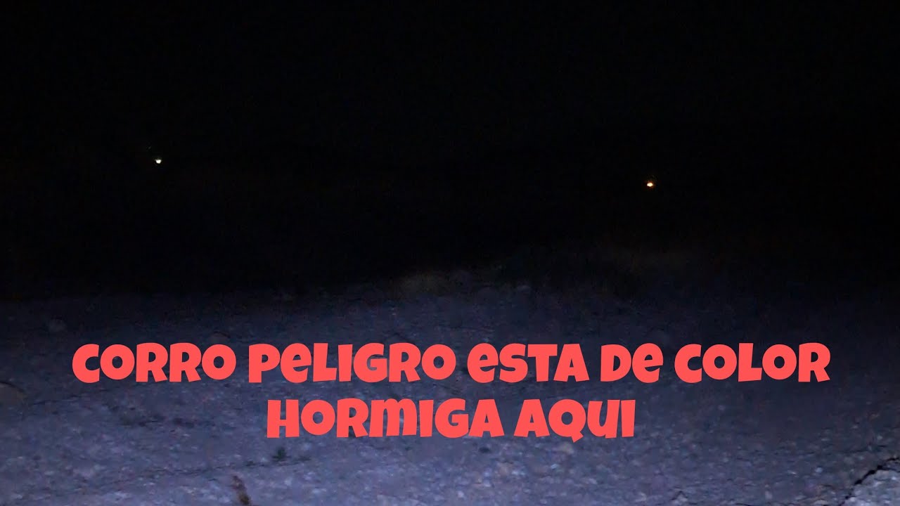 📛corro peligro esta de color de hormiga aqui 📛💀