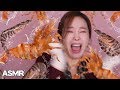 [Mukbang] 싱싱한 닭 새우, 보리새우 회(튀김까지)🍤 OMG! Live Chicken Shrimp fried? креветка gamba udang Eatingsound