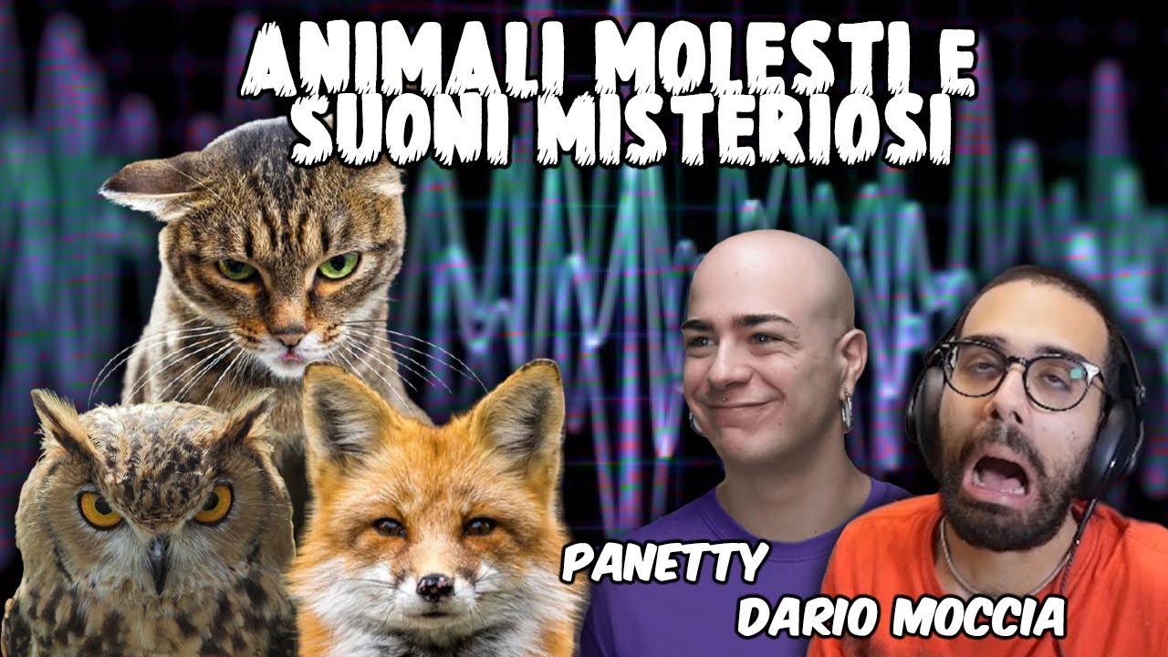 DARIO e PANETTY reagiscono agli animali in Giappone e i suoni più misteriosi del mondo