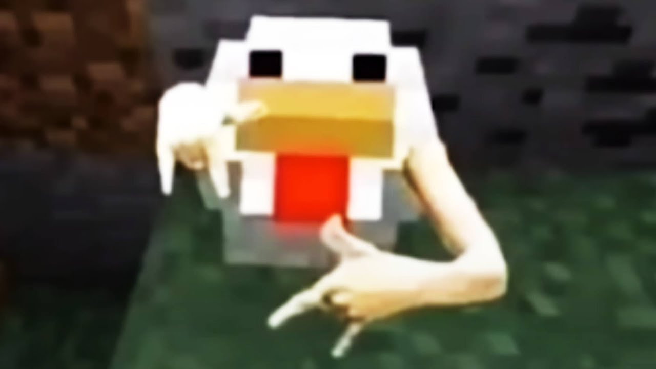 OTRO VIDEO DE MEMES GENERICO (Pero están bastante buenos...)