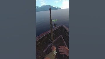 The FASTEST Rust VR Swimmer #strayed #vr #rust