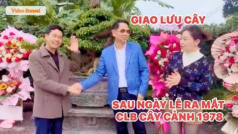 GIAO LƯU CÂY SAU NGÀY LỄ RA MẮT CLB CÂY CẢNH 1978( Mậu Ngọ )