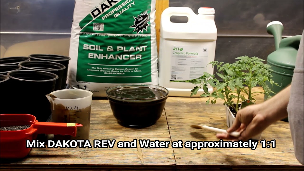 Organic REV Root Treatment