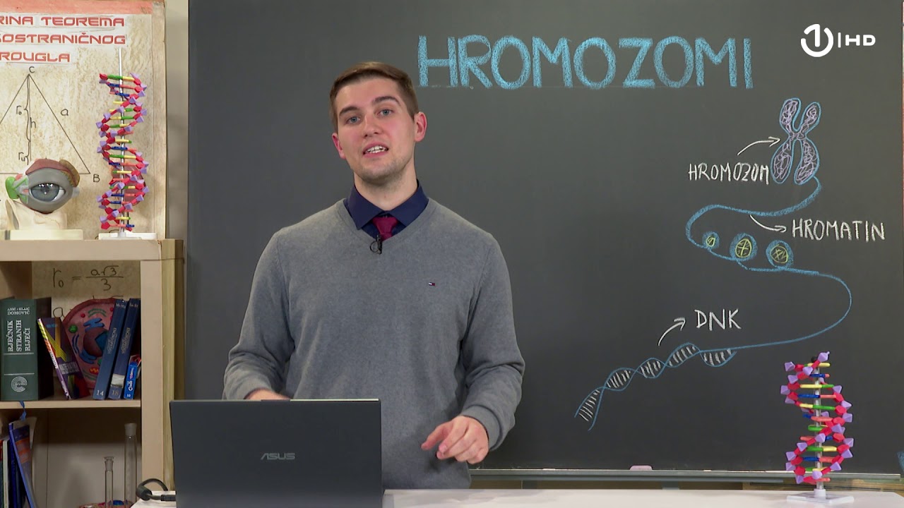 Domaća zadaća za 9. razred: Biologija - Hromozomi