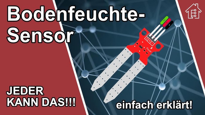 Wasserstand Sensor einfach erklärt!