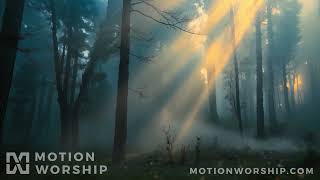Eden Spooky Forest HD Loop by Motion Worship