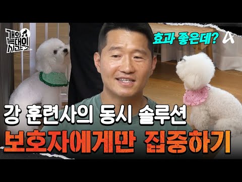 A Mother-Daughter Dog Duo Must Live Apart to Stay Together! The 'Jamong & Mango' Simultaneous Sol...