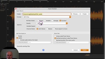 Pausing Audacity Recording & Exporting Audio as Separate Tracks