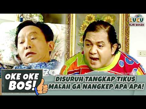 DISURUH TANGKAP TIKUS MALAH GA NANGKEP APA APA! | OKE OKE BOS 65SINDIKAT DI SIKAT PART 2
