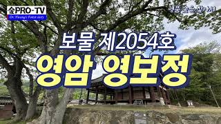 Treasure No. 2054 Yeongam Yeongbojeong Pavilion, Forest Pro TV