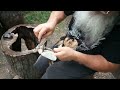 Applying homemade pine tar pitch to hatchet handle.