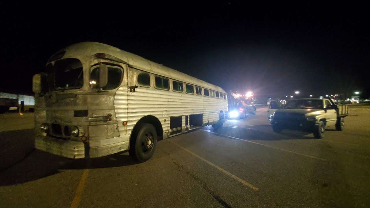 sage's silversides goes home. kinda