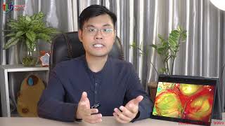 Đánh Giá Laptop HP Envy X360 13-bf0094TU Thật Sự Quá Đẹp