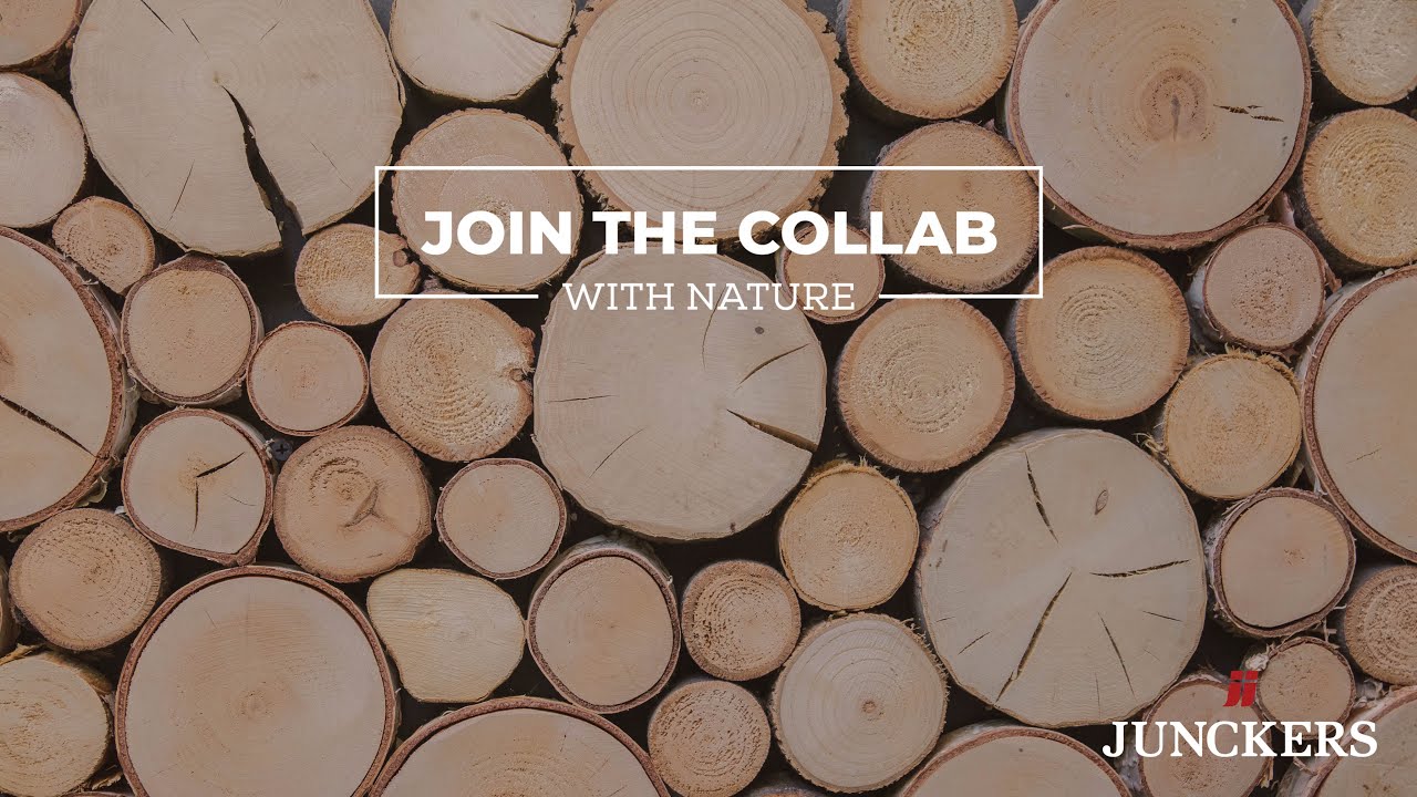 Wood absorbs carbon YouTube