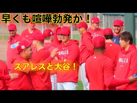 ケンカ勃発！大谷vsスアレス！キャンプ3日目で早くもシーズン初の直接対決！【現地映像】