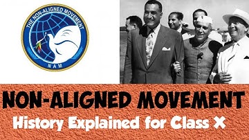 Non-Aligned Movement (NAM) | World History | ICSE Class X | Explained in English and Hindi