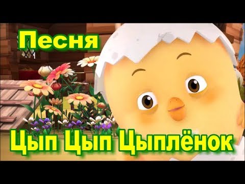 Цып цып тв. Цыпа цыпа пи пи. Цып цып джуджалярим. Цип цип цип мои цыплятки. Песня цып цып цыпа.