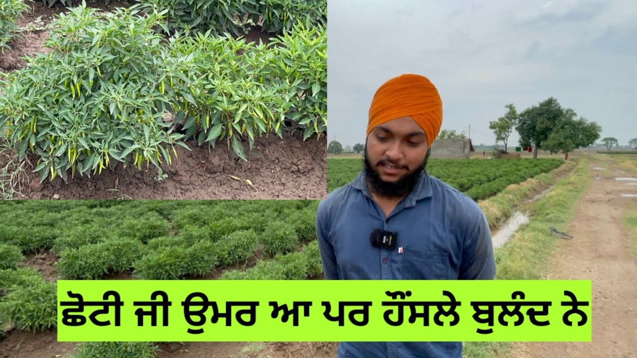 ਛੋਟੀ ਉਮਰ ਦਾ ਕਿਸਾਨ ਇਲਾਕੇ ਚ ਗੱਲਾਂ ਹੁੰਦੀਆਂ ਨੇ ਮੁੰਡੇ ਦੀਆਂ।