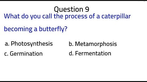 Science Quiz #3
