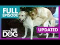 The Humping Labradors UPDATED | Full Episode + Commentary | It's Me or the Dog