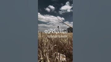 لنتمشى ونستمع 🎧🚶‍♂️… اكتب شيء تؤجر عليه…‎#اكسبلور #tree #قرآن #street #سورة_الضحى #ماهر_المعيقلي