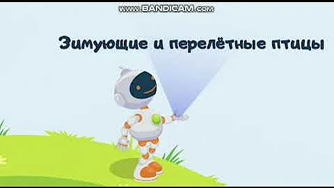 Зимующие перелетные птицы