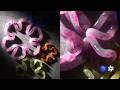 Preview Inflating Flowers in Cinema 4D [June 2026]