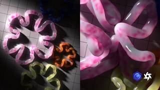 Preview Inflating Flowers in Cinema 4D [June 2026]