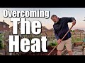 One Way To Beat This Heat | Allotment Gardening With Tony