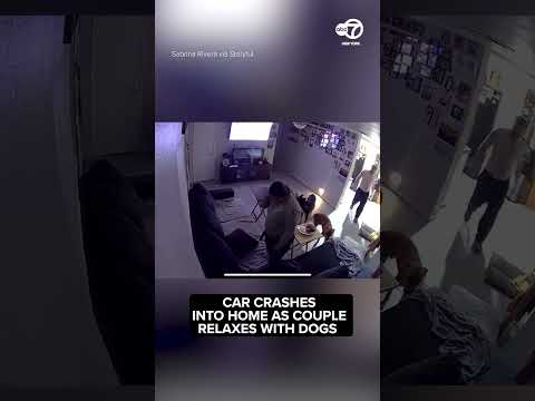 Shocking Moment Car Crashes Into Home Where Couple Were Relaxing With Their 4 Dogs
