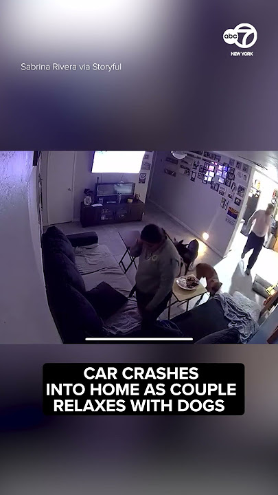 Shocking Moment Car Crashes Into Home Where Couple Were Relaxing With Their 4 Dogs
