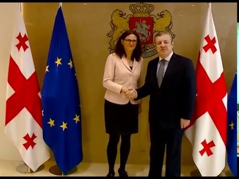 შეხვედრა ევროკომისარ სესილია მალმსტრომთან