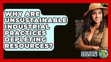 Why Are Unsustainable Industrial Practices Depleting Resources? - Ecosystem Essentials