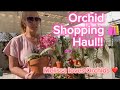 Orchid shopping haul from rf orchids