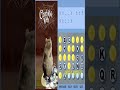Charlotte39s Web Hangman Flash Game Charlotte39s Web Hangman Flash Game
