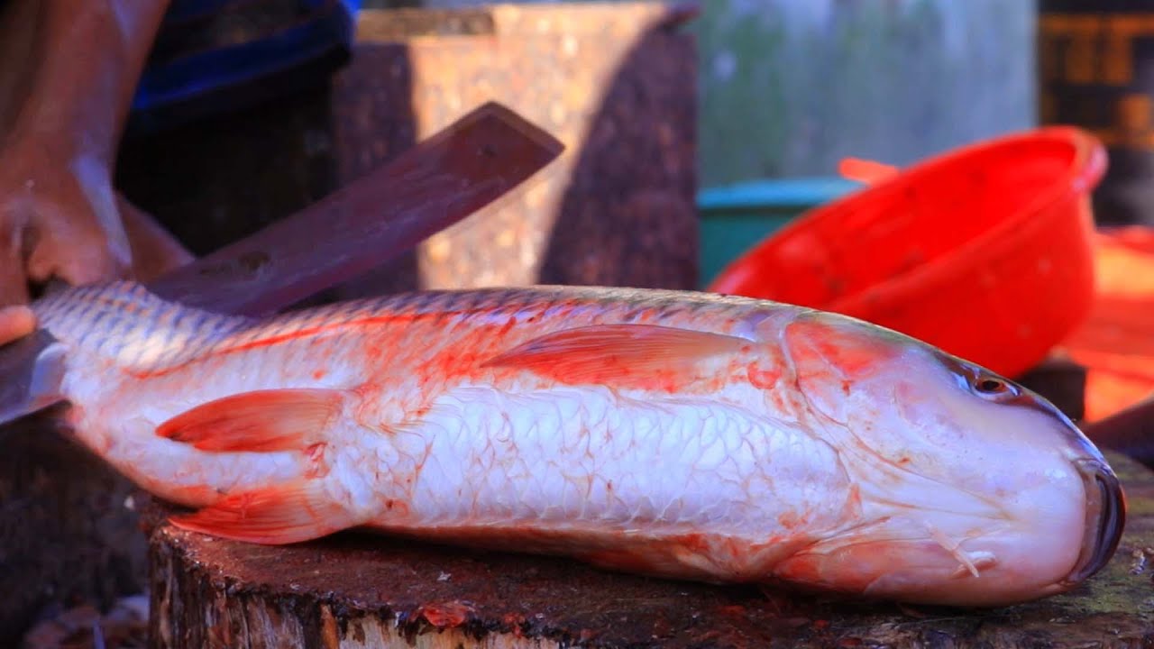 Dasi Rohu Fish Cutting By Expert Fish Cutter | Fish Cutting Skills
